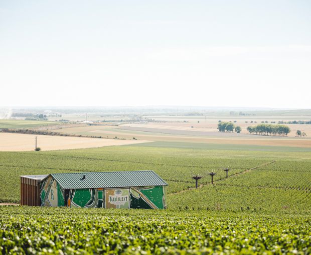 Champagne Ruinart Blanc de Blancs Brut NV