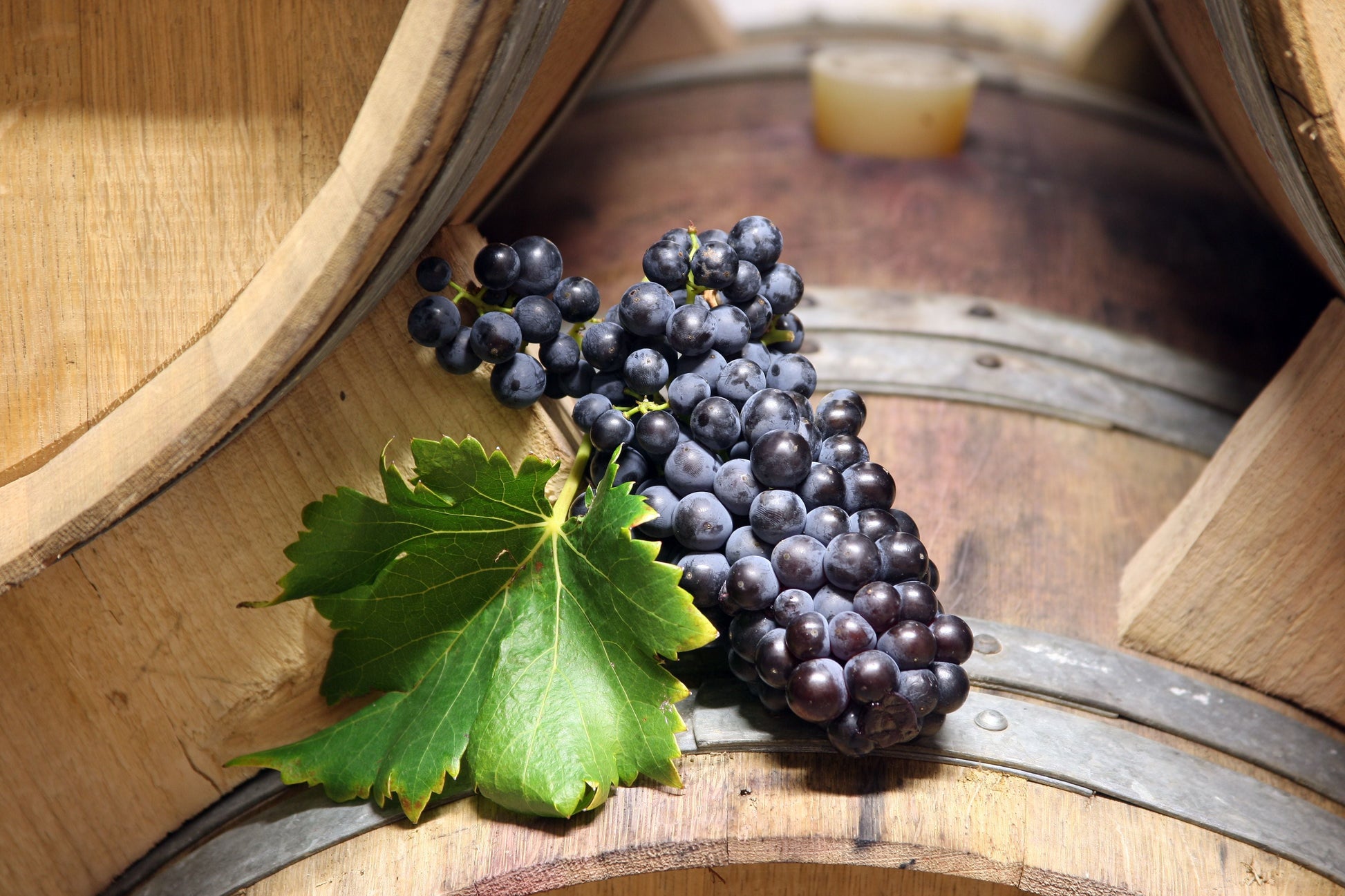 Gigondas AOP 2022, Francois Xavier Lambert