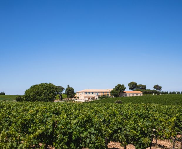 Costières de Nîmes AOP Les Hauts de Coste-Rives Rouge, Château Saint-Bénézet