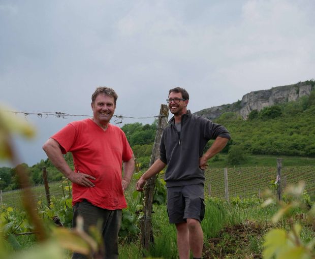 Bourgogne Chardonnay AOC, Vignerons des Grandes Vignes