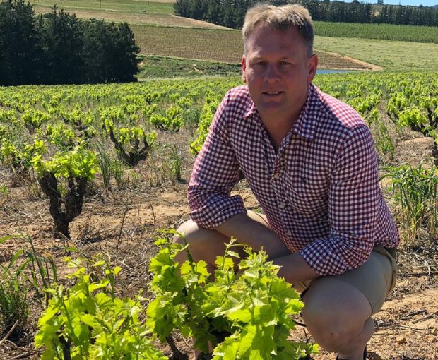 Cabernet Sauvignon Coteaux de Montagne, The Wine Gallery