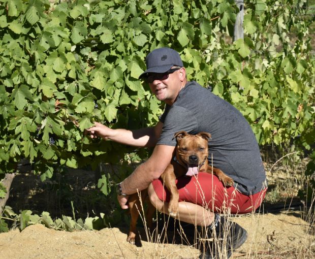 Pinotage, Truter Family Wines