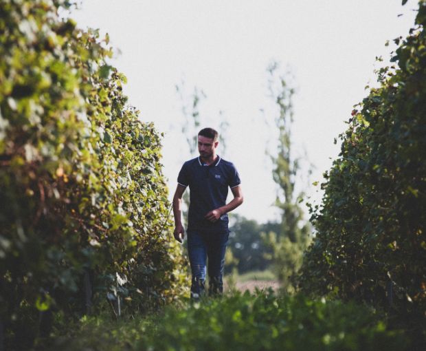 Tursan AOC Rouge, La Cave des Vignerons Landais