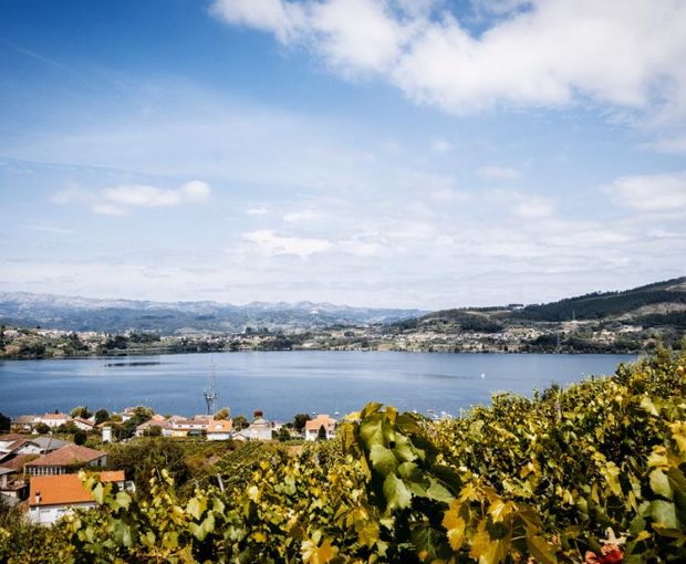 Albariño RO Rias Baixas, Antonio Montero