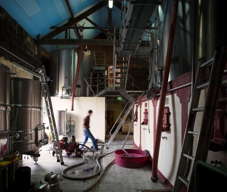 Saint Emilion Grand Cru AOC 2016, Château Haut-Rocher