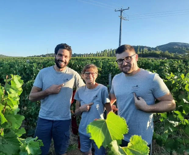 Vignerons des Grandes Vignes