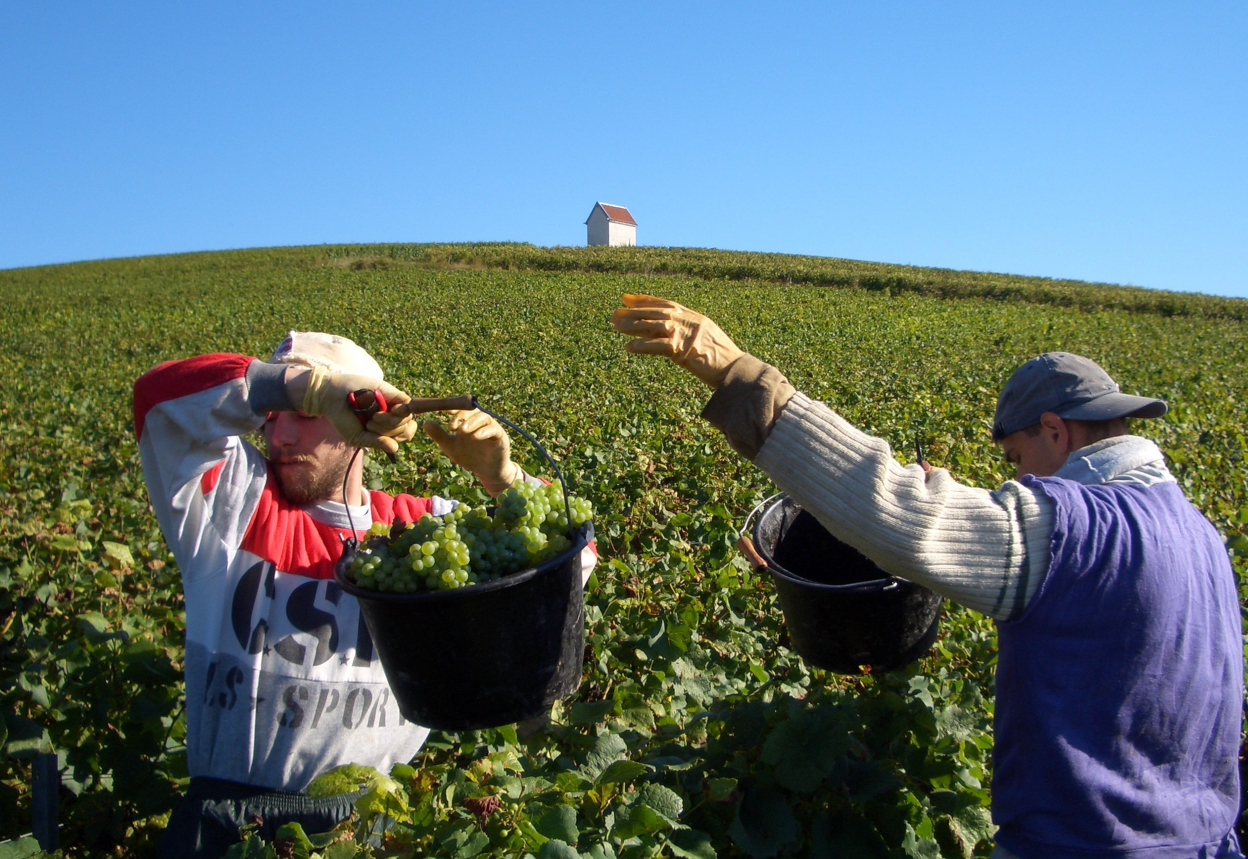 Champagne Françoise Monay