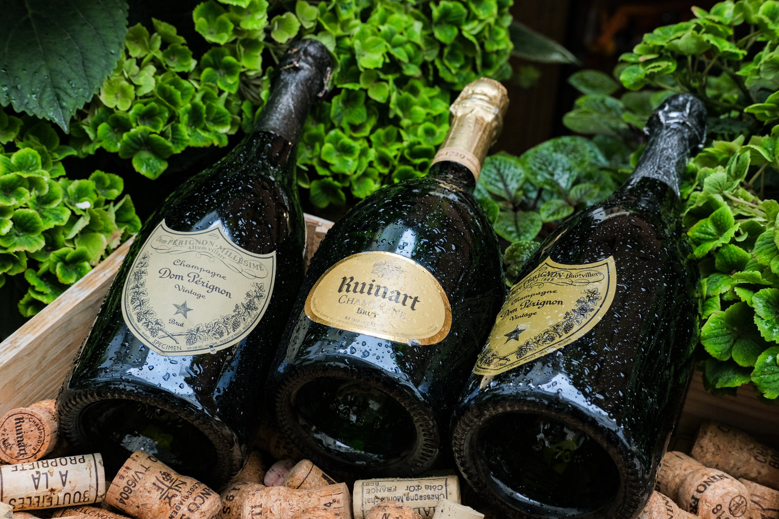 CHAMPAGNE GRANDES MARQUES