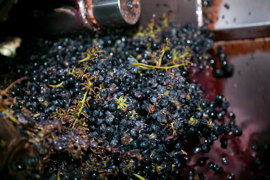 Barolo DOCG 2021, Antico Monastero