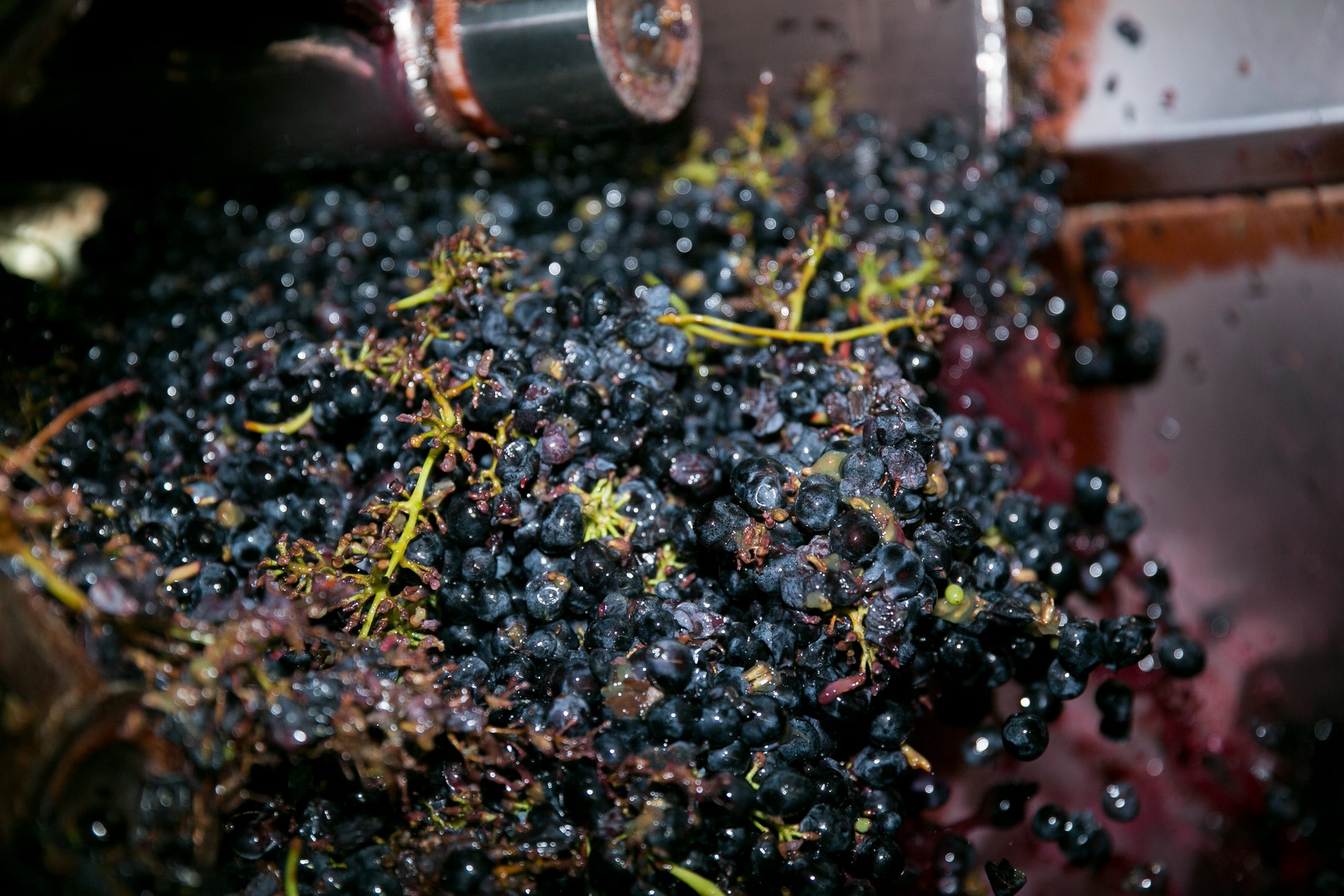 Barolo DOCG 2021, Antico Monastero