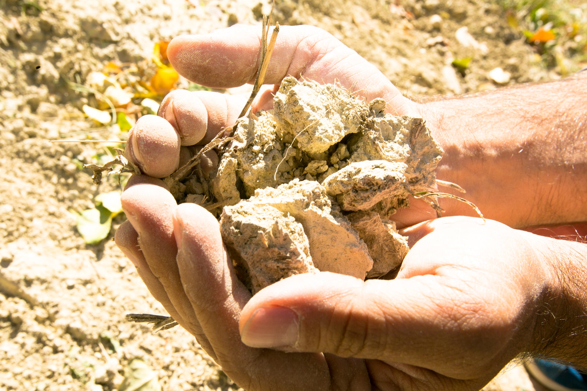 Barolo DOCG 2021, Antico Monastero