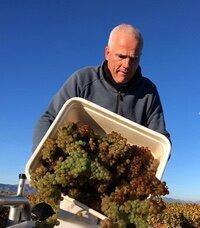 Sauvignon Blanc Marlborough, Map Maker