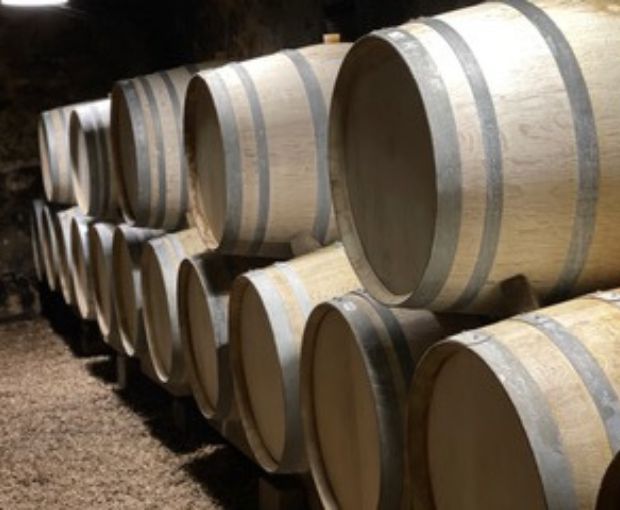 Marsannay AOC Vieilles Vignes Les Duchesses 2021, Jean-Philippe Marchand