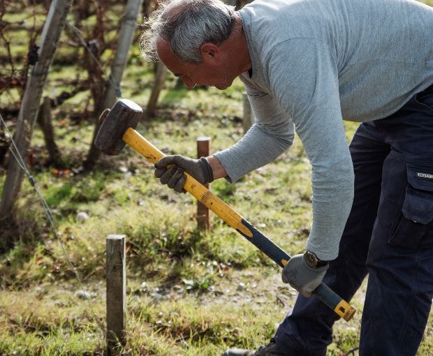 Saint-Estèphe AOC 2020, Les Hauts de Meyney