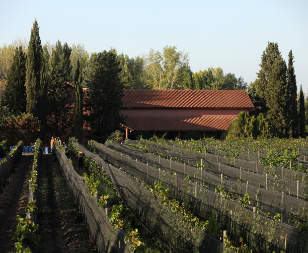 Malbec Gran Reservado 2021, Fabre Montmayou