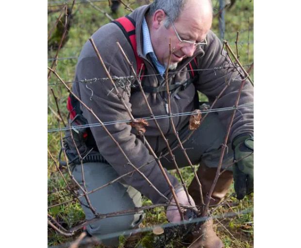 Bourgogne AOC Cuvée Perle Rare 2021, Domaine de la Galopière