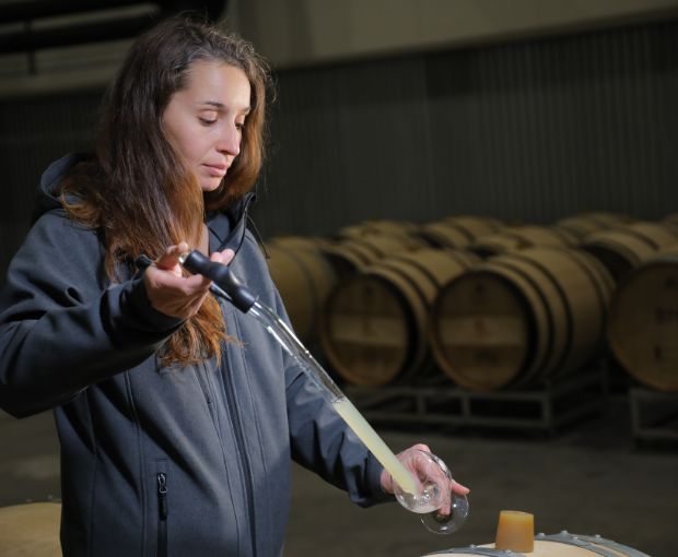 Duché d'Uzes White AOP, Famille Montescaud