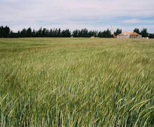 Sauvignon Blanc, Cloudy Bay