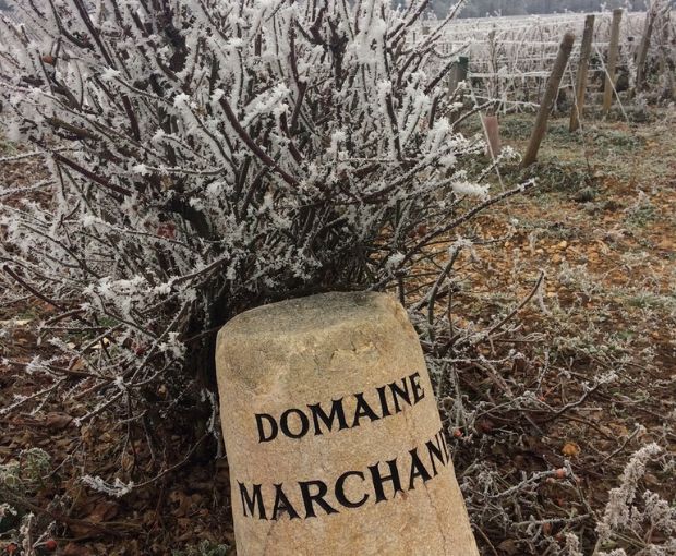 Puligny Montrachet AOC Vieilles Vignes 2022, Jean-Philippe Marchand