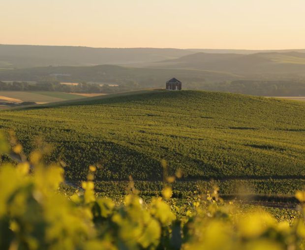 Champagne Moët & Chandon Imperial Brut