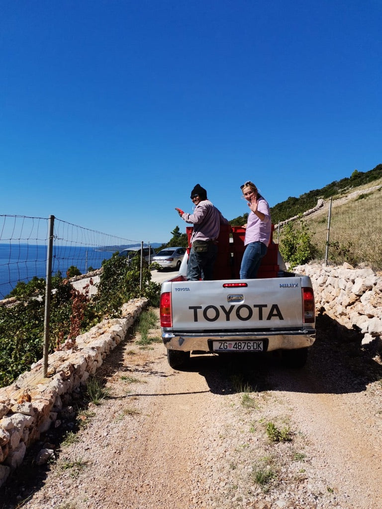 Posh Sv Ante 2023, Saints Hills