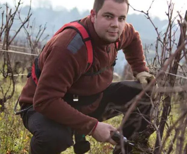 Bourgogne AOC Cuvée Perle Rare 2021, Domaine de la Galopière
