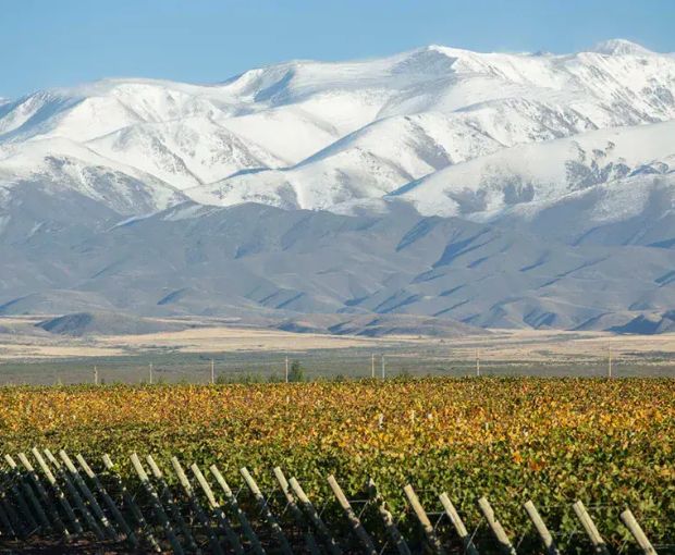 Grand Malbec 2021, Terrazas de los Andes
