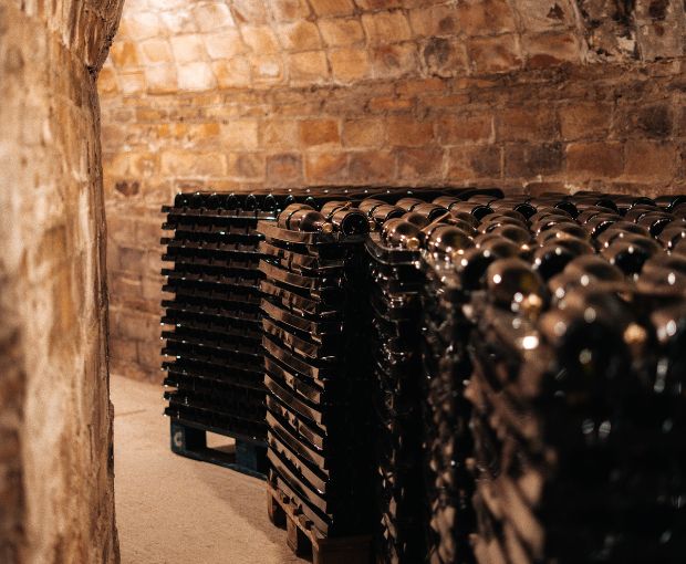 Cava Brut D.O. Sogas Mascaró