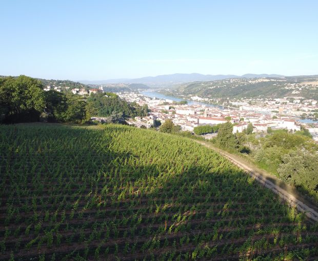 Côte-Rôtie AOP Promesse 2020, Domaine Christophe Pichon