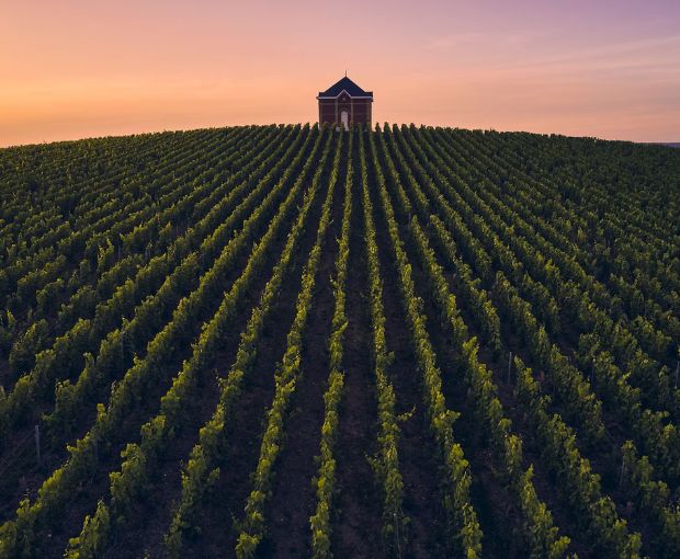 Champagne Moët & Chandon Imperial Rosé