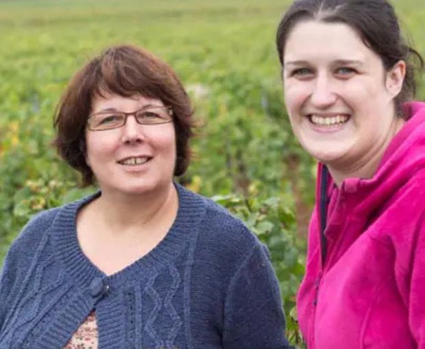 Chassagne-Montrachet AOC 2023, Domaine de la Galopière