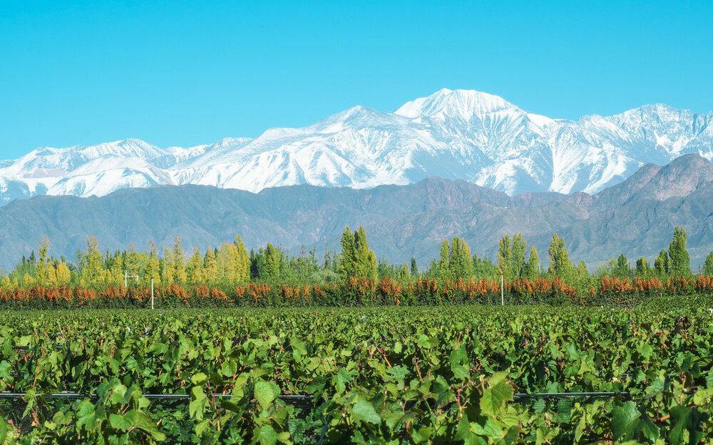 MAGNUM Malbec Gran Reservado 2020, Fabre Montmayou