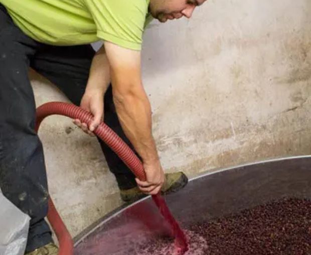 Chassagne-Montrachet 1er Cru AOC Clos Saint Jean 2023, Domaine de la Galopière