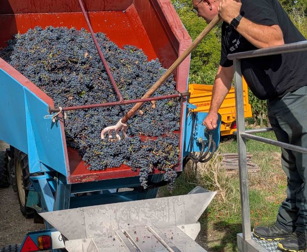 MAGNUM Saint Emilion Grand Cru AOC 2016, Château Pavillon Rocher