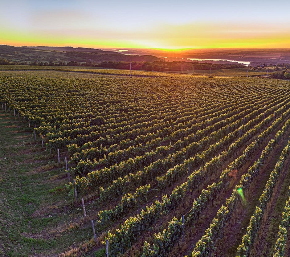 Pinot Grigio single vineyard, Hilltop