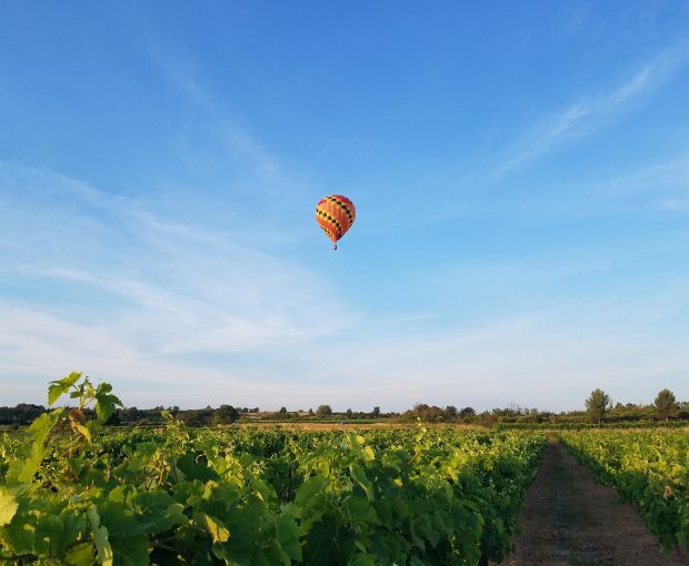 Duché d'Uzes White AOP, Famille Montescaud
