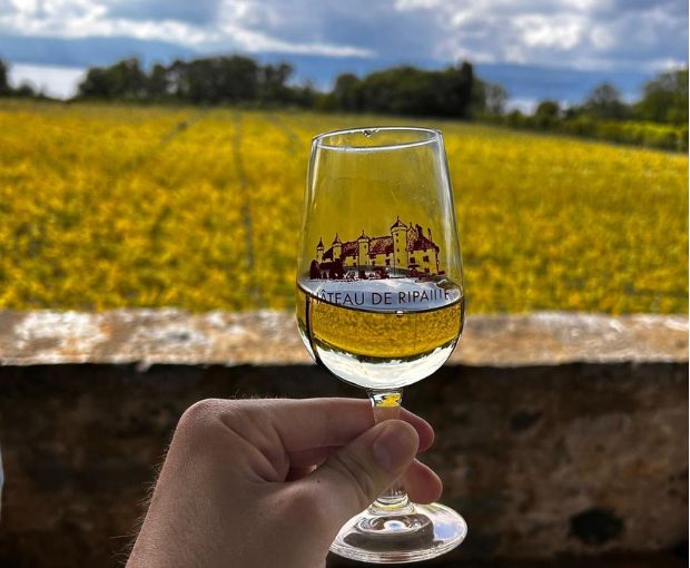 Vin de Savoie Ripaille AOC 2024, Château de Ripaille