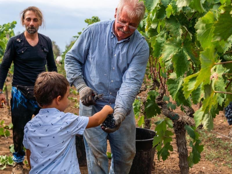 Primitivo Acanto Salento Puglia IGT, Cantine Ionis