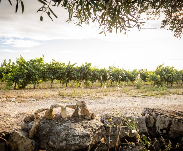 Duché d'Uzes AOP Rouge, Famille Montescaud