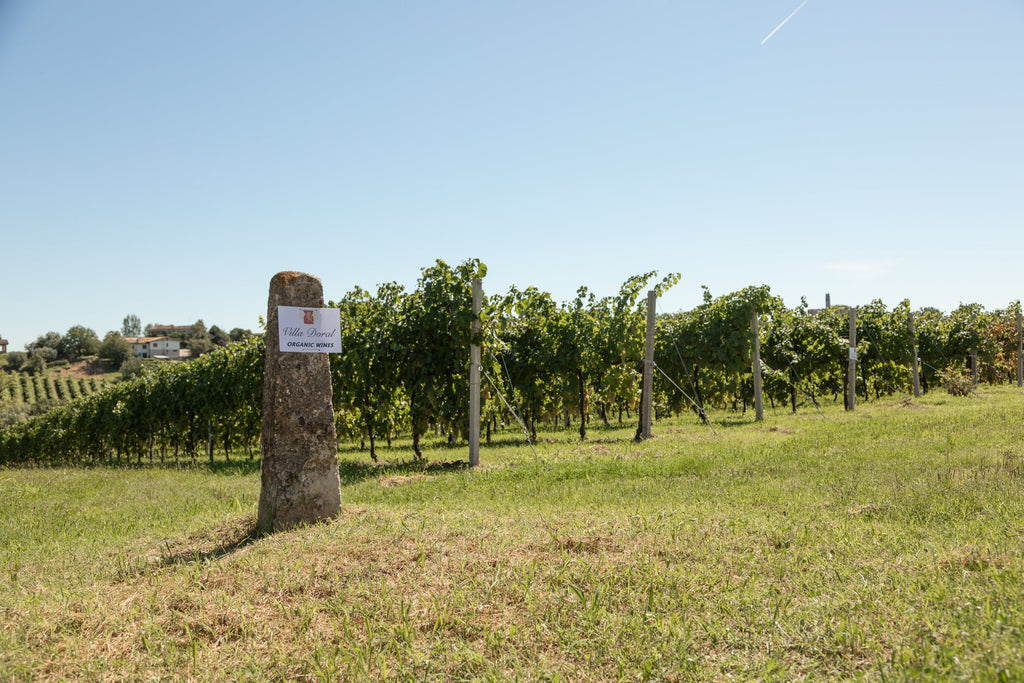 Rosé Spumante Extra Dry, Nave de Oro