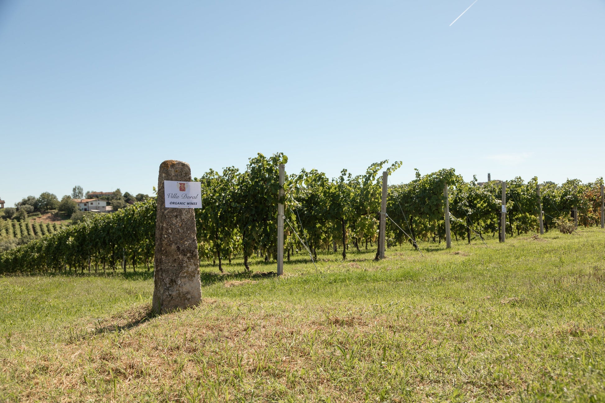 Rosé Spumante Extra Dry, Nave de Oro