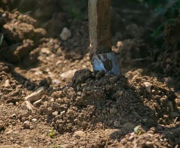 Chassagne-Montrachet AOC 2023, Domaine de la Galopière