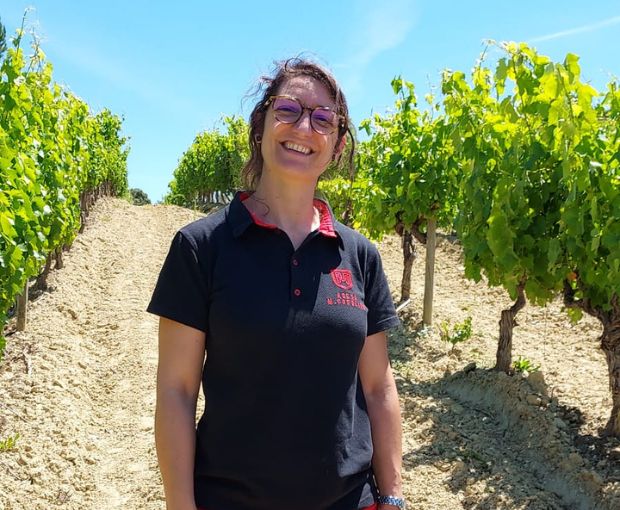 Encosta do Vale Galego Colheita Branco, Adega Marques Cordeiro