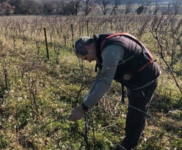Châteauneuf-du-Pape AOC Blanc 2022, Domaine André Mathieu