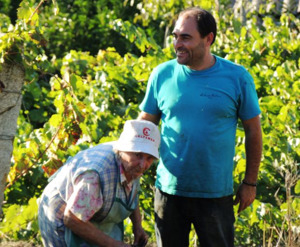 Colleita DO Ribeiro, Antonio Montero