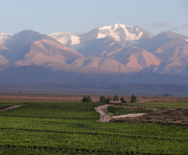 Gran Calcareo Malbec 2023, Alta-Yari
