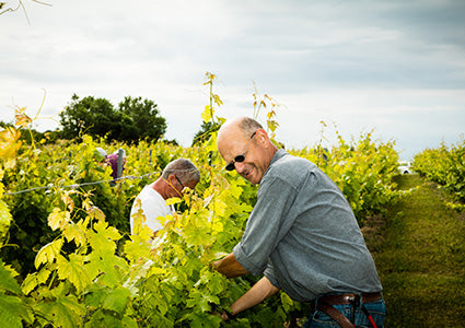 Zéro Alcohol Sparkling Equilibre, Domaine de l’Arjolle
