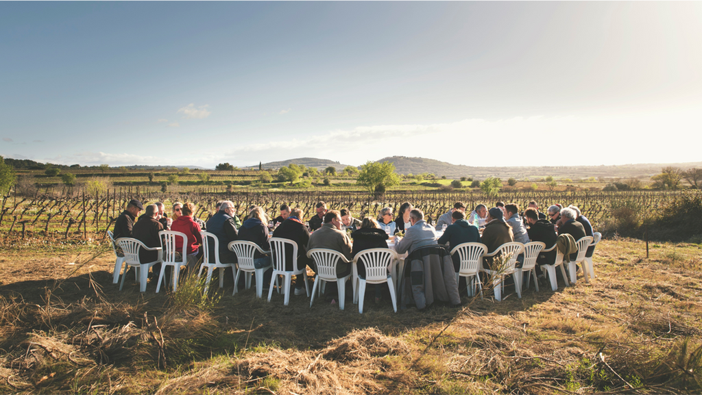 Zéro Alcohol Syrah Cabernet Rosé Equilibre, Domaine de l’Arjolle