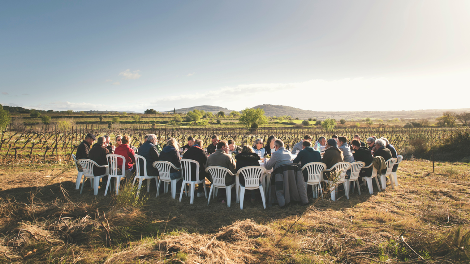Zéro Alcohol Syrah Cabernet Rosé Equilibre, Domaine de l’Arjolle
