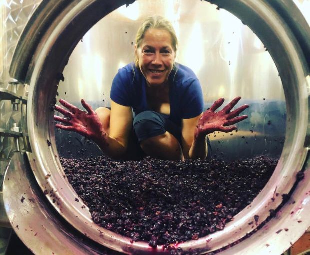 Nuits-Saint-Georges AOC Les Hauts Pruliers 2015, Bertrand et Axelle Machard de Gramont